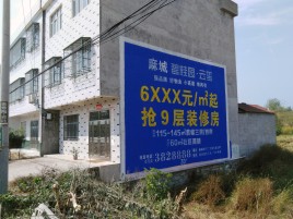 泗洪墙体广告质量分析