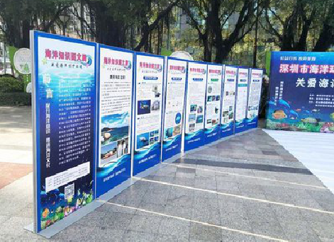 泗洪KT板的种类和知识。